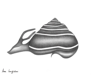 Drawing titled "Escargot 5" by Anne Langérôme, Original Artwork, Graphite