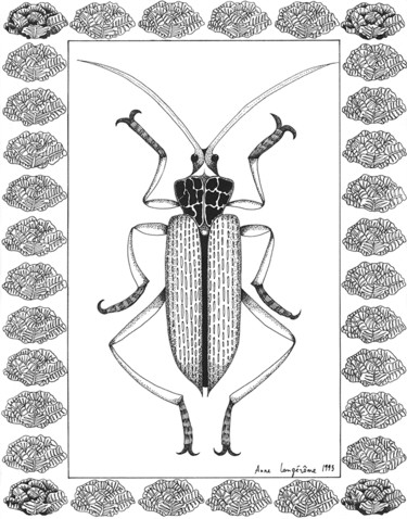 Drawing titled "mangeur de choux" by Anne Langérôme, Original Artwork, Ink