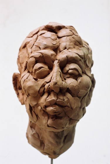 Скульптура под названием "BUSTE TERRE CUITE" - Anne Malvy, Подлинное произведение искусства, Терракота