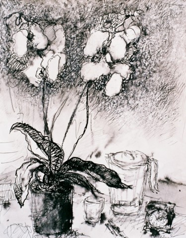 Drawing titled "L'ORCHIDEE" by Anne Malvy, Original Artwork, Ink