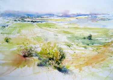 Painting titled "paysage du Minervois" by Anne-Marie Mary, Original Artwork, Watercolor