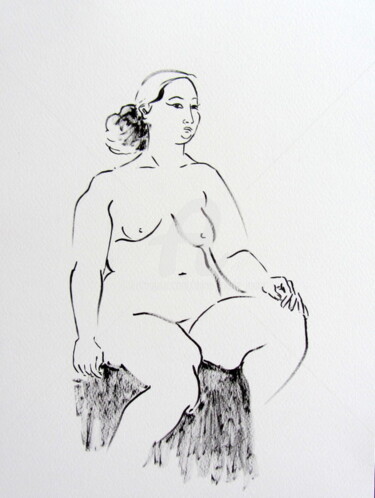 Dessin intitulée "melissa-270116-1.jpg" par Anne-Marie Mary, Œuvre d'art originale, Encre