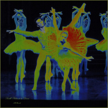 Fotografía titulada "danseuse" por Anne Marie Mazzocchi, Obra de arte original, Fotografía digital