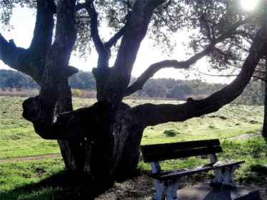 Fotografía titulada "repos bien mérité" por Anne Marie Mermet, Obra de arte original, Fotografía digital