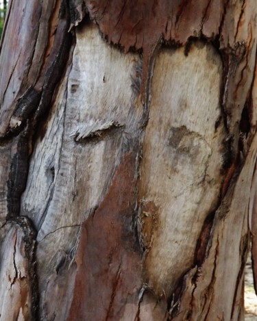 Fotografie getiteld "arbre visage" door Anne Marie Mermet, Origineel Kunstwerk, Digitale fotografie