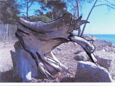 Photographie intitulée "oiseau de bois" par Anne Marie Mermet, Œuvre d'art originale, Photographie numérique