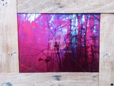 Kolaże zatytułowany „Forêt rouge #1” autorstwa Anne Maury, Oryginalna praca, 2D praca cyfrowa