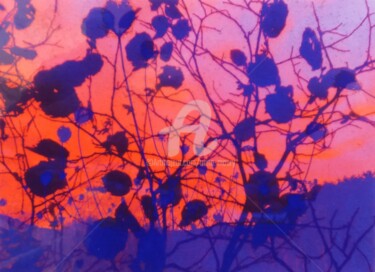 Collages titled "Forêt bleue ciel ro…" by Anne Maury, Original Artwork, 2D Digital Work