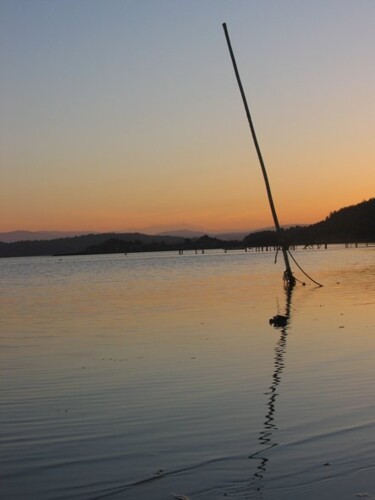 Fotografía titulada "Reflet d'or" por Anne Sarda, Obra de arte original