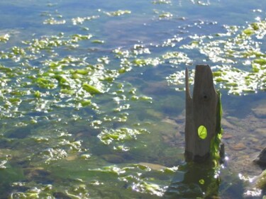 Photographie intitulée "trou vert" par Anne Sarda, Œuvre d'art originale