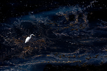 Fotografia intitolato "Egret Starry Night" da Schlueter, Opera d'arte originale, Fotografia digitale