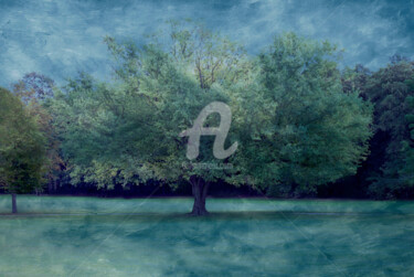 Digital Arts titled "Trees and their mag…" by Anne Seltmann, Original Artwork, 2D Digital Work