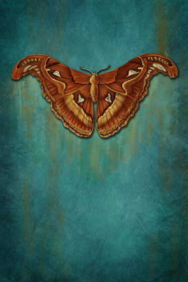 Malerei mit dem Titel "moth1.jpg" von Annemarie Ridderhof, Original-Kunstwerk, Andere