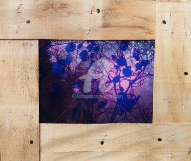Collages intitulée "Forêt lumière du ma…" par Anne Maury, Œuvre d'art originale, Travail numérique 2D