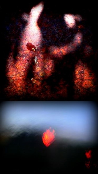 Arts numériques intitulée "Sur écriture" par Anne Paulet (Photomatière 21), Œuvre d'art originale, Photo montage