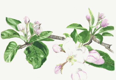 Peinture intitulée "pommier printemps" par Annette Bernard, Œuvre d'art originale, Aquarelle