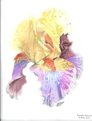 Painting titled "iris multicolore pa…" by Annette Bernard, Original Artwork, Watercolor
