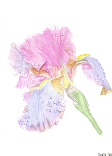 Pintura titulada "iris pastel" por Annette Bernard, Obra de arte original, Acuarela