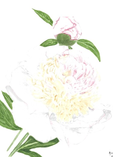 Картина под названием "pivoine vanille fra…" - Annette Bernard, Подлинное произведение искусства, Акварель