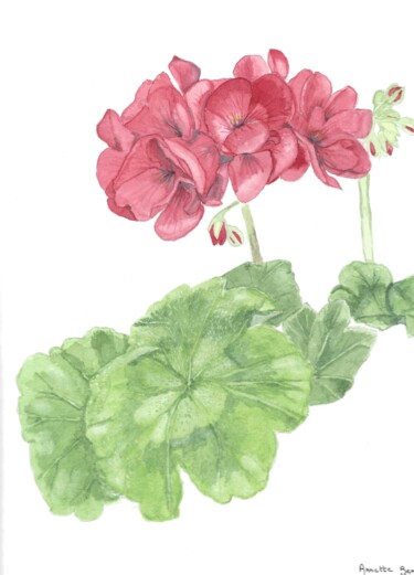 Ζωγραφική με τίτλο "geranium" από Annette Bernard, Αυθεντικά έργα τέχνης, Ακουαρέλα