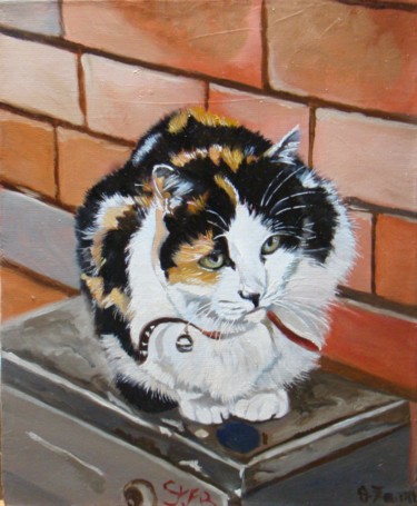 Peinture intitulée "Portrait de chat Ca…" par Anne Zamo, Œuvre d'art originale, Huile