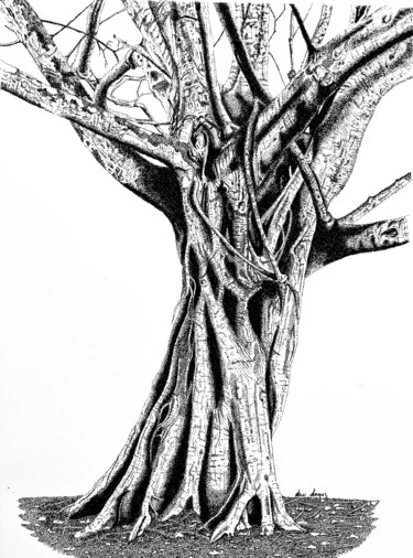 Solidarity Drawing titled "Solidarity" by Anni Angus, Original Art, Ink Mounted on Other rigid panel