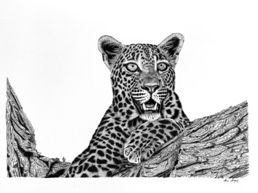 Vigilant Drawing titled "Vigilant" by Anni Angus, Original Art, Ink