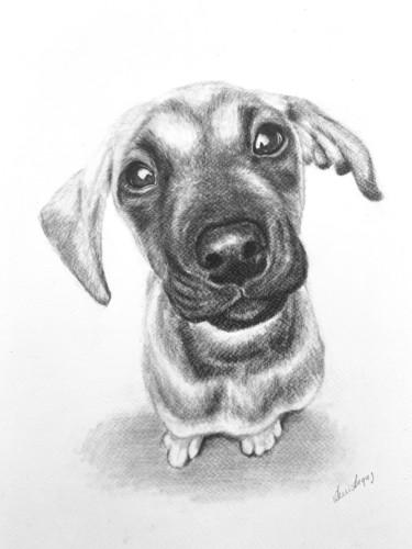 Charlie Drawing titled "Charlie" by Anni Angus, Original Art, Graphite