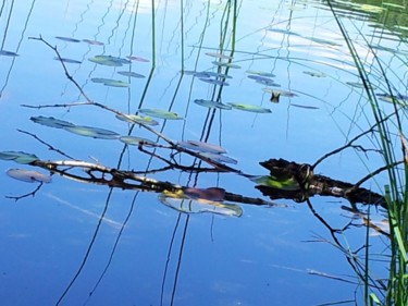 Photographie intitulée "Jeux de miroir- Ann…" par Annick Bouhan, Œuvre d'art originale