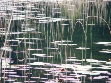 Fotografia intitolato "Effets d'optique- A…" da Annick Bouhan, Opera d'arte originale