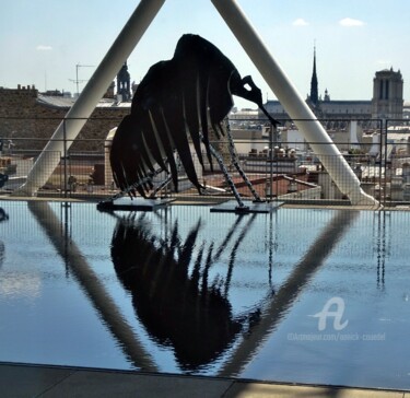 Photographie intitulée "LE GUETTEUR  .jpg" par Annick Couëdel, Œuvre d'art originale, Photographie non manipulée