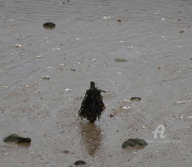 Photography titled "LE CHEVALIER EN HAI…" by Annick Couëdel, Original Artwork