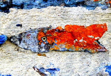 Photography titled "PETIT POISSON DEVIE…" by Annick Couëdel, Original Artwork