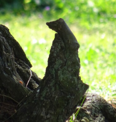 Photography titled "PENITENT EN PRIERE" by Annick Couëdel, Original Artwork, Non Manipulated Photography