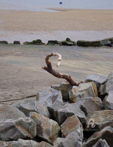 Photographie intitulée "ARBRE-OISEAU PRIS A…" par Annick Couëdel, Œuvre d'art originale, Photographie non manipulée