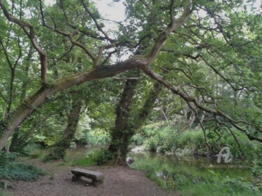 Photography titled "PONT AVEN : Le Bois…" by Annick Couëdel, Original Artwork