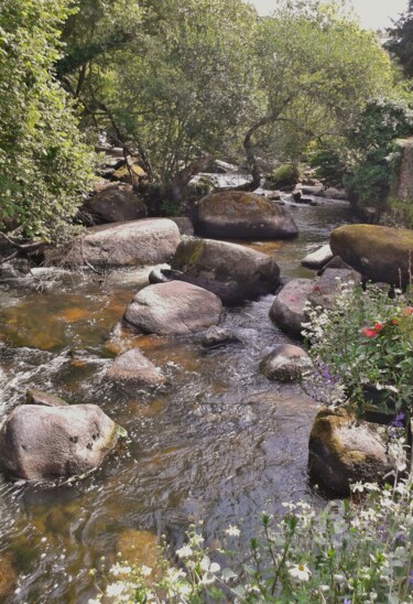 Photographie intitulée "PONT AVEN : Le Bois…" par Annick Couëdel, Œuvre d'art originale