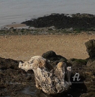 Photographie intitulée "LE GARDIEN DE LA CÔ…" par Annick Couëdel, Œuvre d'art originale