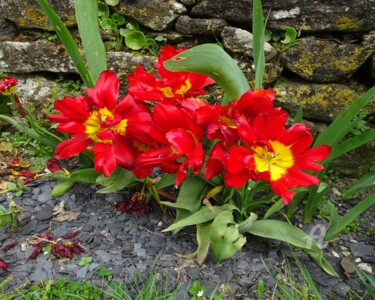 Fotografie mit dem Titel "FLOWER POWER .jpg" von Annick Couëdel, Original-Kunstwerk