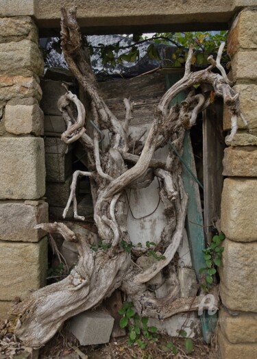 Photographie intitulée "LE GARDIEN .jpg" par Annick Couëdel, Œuvre d'art originale