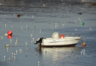 Photographie intitulée "PAUSE A MAREE BASSE…" par Annick Couëdel, Œuvre d'art originale