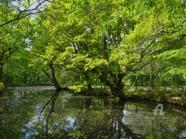 Photography titled "MIROIR, MON BEAU MI…" by Annick Couëdel, Original Artwork