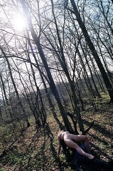 Photographie intitulée "Repos forestier" par Annick Terwagne, Pastelliste De La Fémin, Œuvre d'art originale