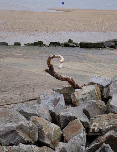 ARBRE-OISEAU PRIS AU PIEGE Photographie intitulée "ARBRE-OISEAU PRIS A…" par Annick Couëdel, Œuvre d'art originale, Photographie non manipulée