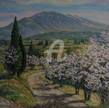 Peinture intitulée "Amandiers fleuris a…" par Annie Rivière, Œuvre d'art originale, Huile