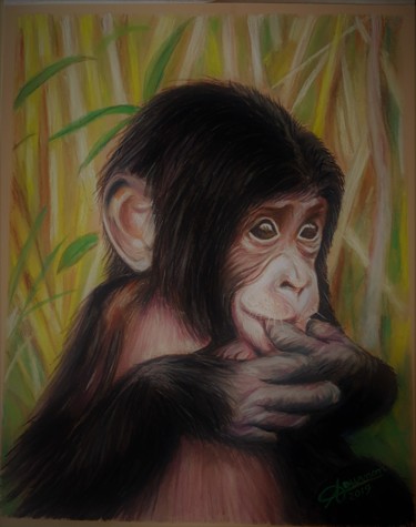 Pintura titulada "Bébé Chimpanzé" por Anny Dournon, Obra de arte original, Pastel