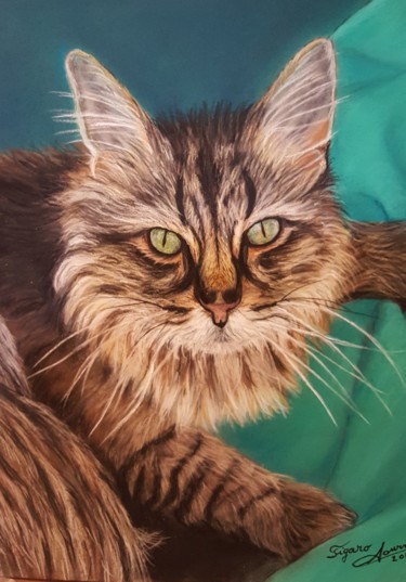 Malerei mit dem Titel "chat tigré" von Anny Dournon, Original-Kunstwerk, Pastell