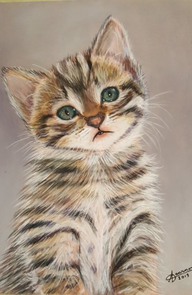 Painting titled "chaton tigré yeux v…" by Anny Dournon, Original Artwork, Pastel