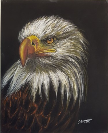 Painting titled "Aigle" by Anny Dournon, Original Artwork, Pastel