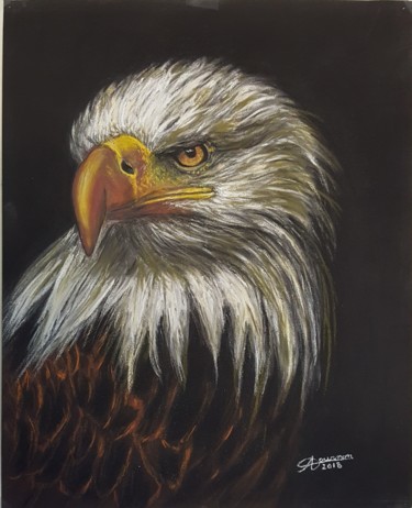 Peinture intitulée "Aigle" par Anny Dournon, Œuvre d'art originale, Pastel